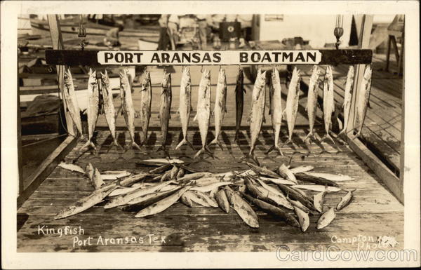 Kingfish Catch Port Aransas Texas Fishing