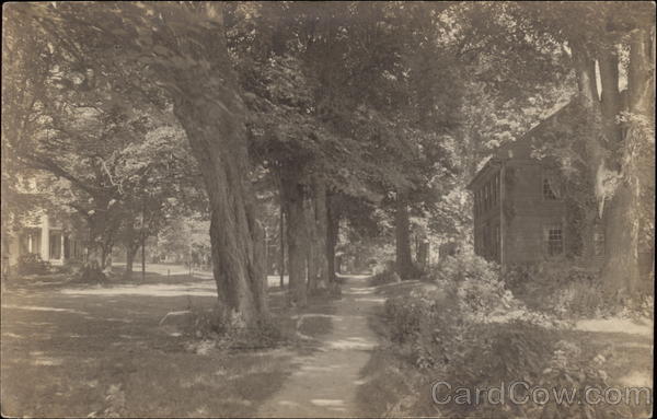 Street Scene Northampton Massachusetts