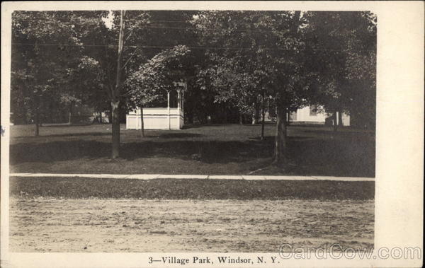 Village Park Windsor New York
