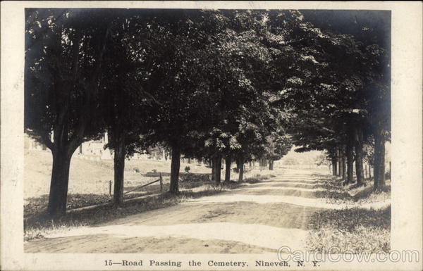 Road Passing the Cemetery Nineveh New York