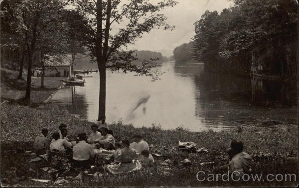 Picnic on Lily Lake Fenton New York