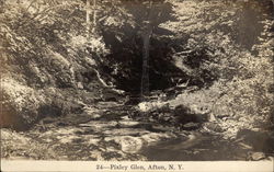 Stream in Pixley Glen Afton, NY Postcard Postcard