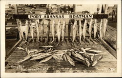 Kingfish Catch Port Aransas, TX Fishing Postcard Postcard