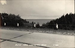 Scene Near Lexington Postcard