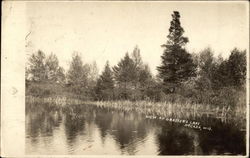 View at Grasser's Lake Postcard