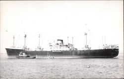 SS Fernfield Postcard