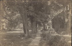 Street Scene Postcard