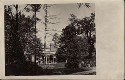 Whitney Place Postcard