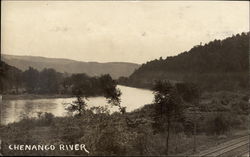 Chenango River Postcard