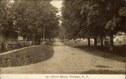 Grove Street Windsor, NY Postcard Postcard