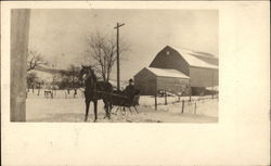 Driving Horse-Drawn Sled Driving Horse-Drawn Sled