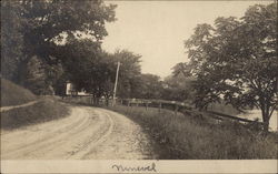 Country Road Postcard