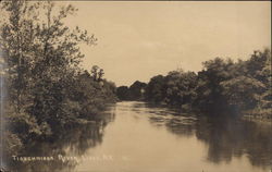 Tioughnioga River Postcard