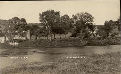River View Postcard