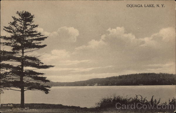 View of the Lake Oquaga Lake New York