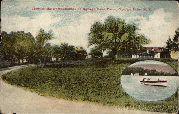 View of the Surroundings of Oquaga Lake Farm New York