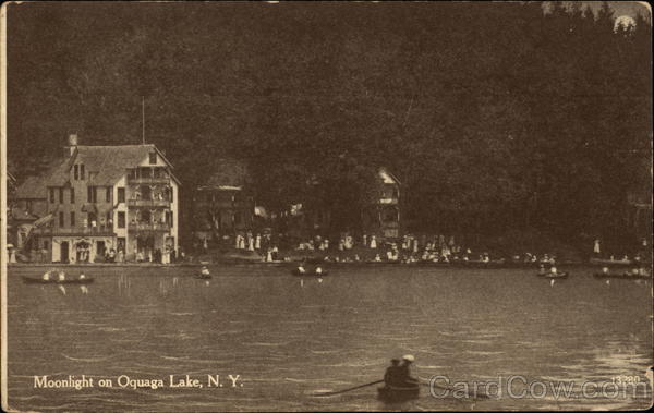 Moonlight View Oquaga Lake New York