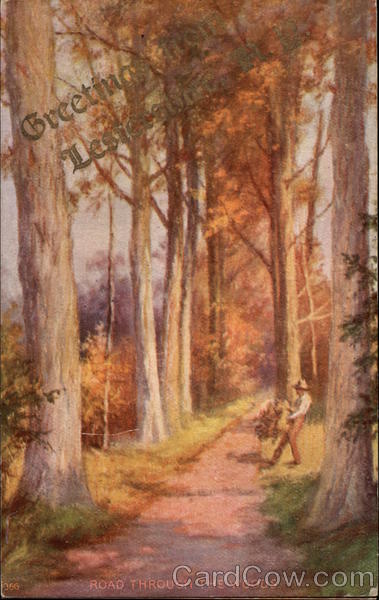 Road Through the Woods Lestershire New York