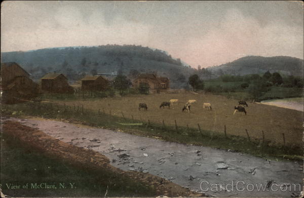 Rural View of Village McClure New York