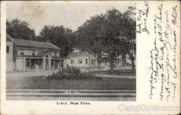 View of Town Lisle New York