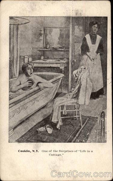 One of the surprises of Life in a Cottage Conklin New York