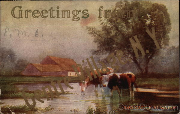 5583 Cattle At Water Center Village New York