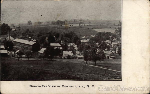 Bird's Eye View of Centre Lisle New York