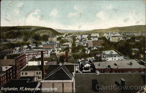 Bird's Eye View Looking North Binghamton New York