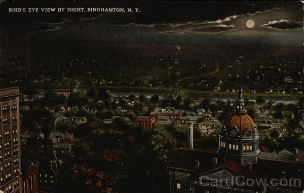 Bird's Eye View of Town By Night Binghamton New York