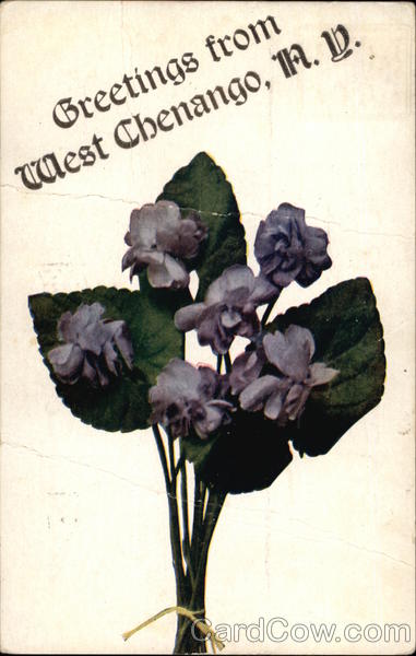 Greetings from West Chenango New York