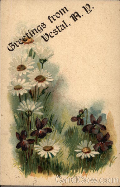 Greetings from Vestal New York