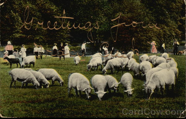 Greetings From Tracy Creek New York