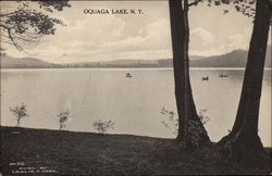 View of the Lake Oquaga Lake, NY Postcard Postcard