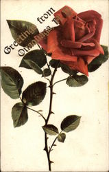 Greetings from Ouaguaga N.Y Postcard