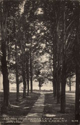 Looking from Oquaga Lake Haouse Postcard