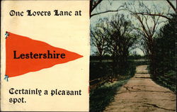 One Lovers Lane at Lestershire, NY Postcard Postcard