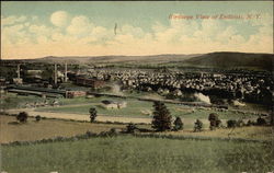 Birdseye View of Town Endicott, NY Postcard Postcard