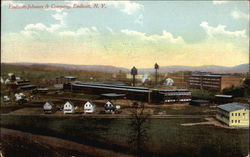 Endicott-Johnson & Company Endicott-Johnson & Company