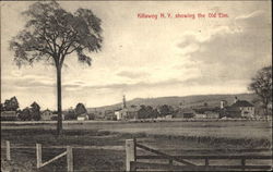 The Old Elm Killawog, NY Postcard Postcard