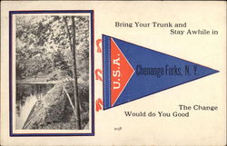 Bring your trunk and stay awhile in Chenango Forks, NY Postcard Postcard