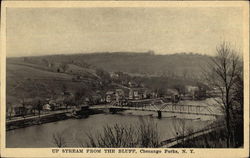 Up Stream from The Bluff Chenango Forks, NY Postcard Postcard