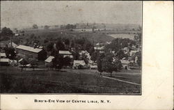 Bird's-Rye View of Centre Lisle New York Postcard Postcard