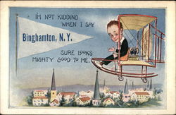 I'm not kidding when I say Binghamton, NY Postcard Postcard