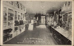 H.G. Springer Groceries & Meats Binghamton, NY Postcard Postcard