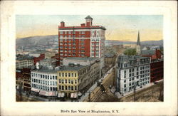 Birdy's Eye View of Binghamton Postcard