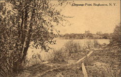 Chenango Point Postcard