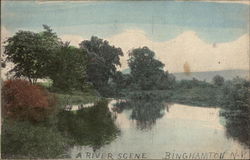 A River Scene Binghamton, NY Postcard Postcard