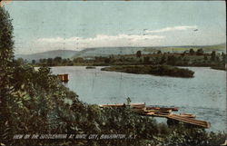 View on the Susquehanna at White City Binghamton, NY Postcard Postcard