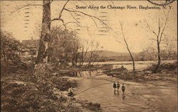 Scene along the Chenango River Postcard