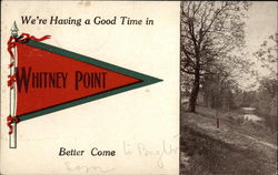 We're having a good time in Whitney Point, NY Postcard Postcard